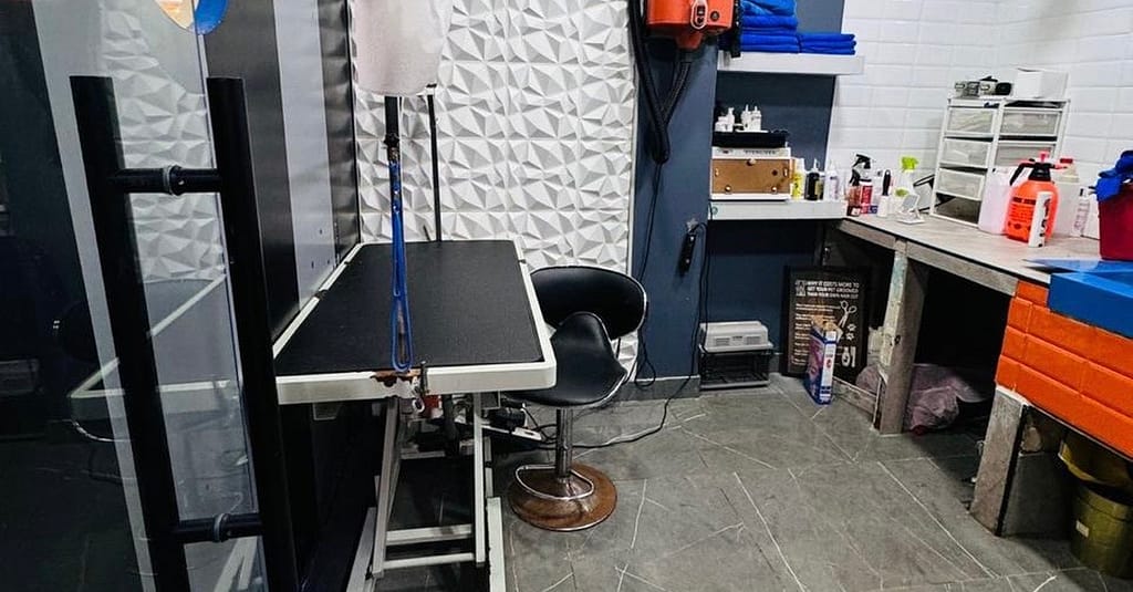 Full Grooming For Cats And Dogs To Keep Them Pampered! Dubai other Shop Online at Dubai Trades 10