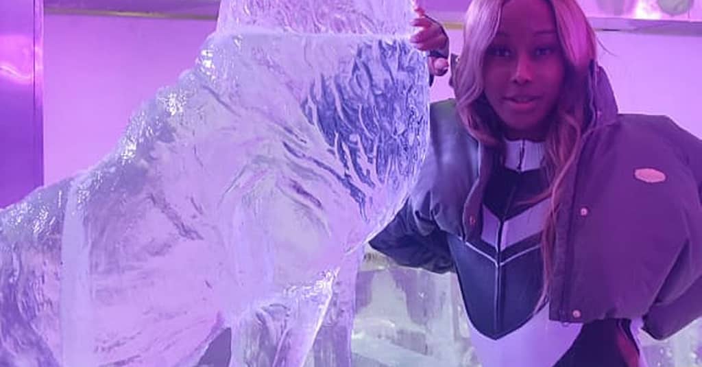 General Admission To The Ice Lounge For 1, 2, Or 4 Children Or Adults Dubai package Shop Online at Dubai Trades 4
