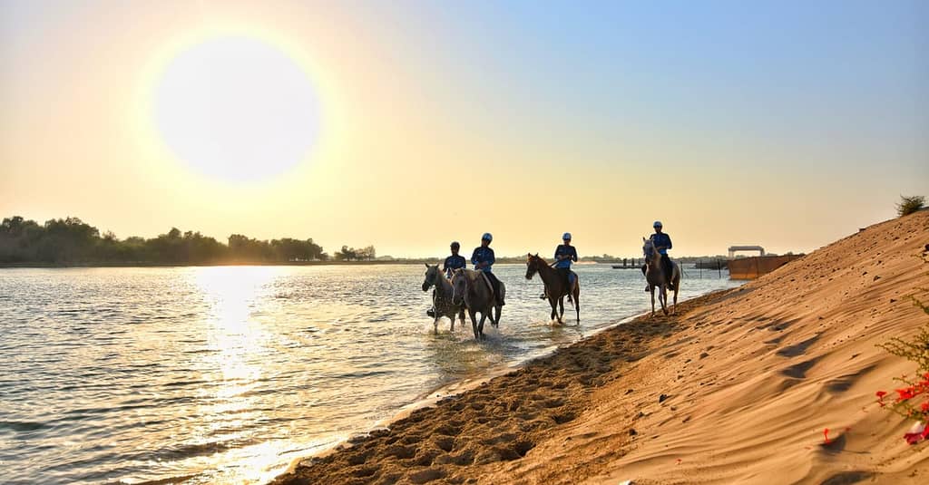 Horseback Riding By The Beach Dubai activities Shop Online at Dubai Trades 4