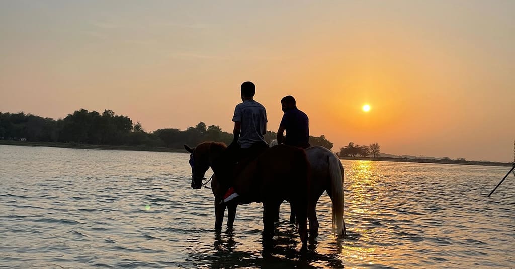 Horseback Riding By The Beach Dubai activities Shop Online at Dubai Trades 6