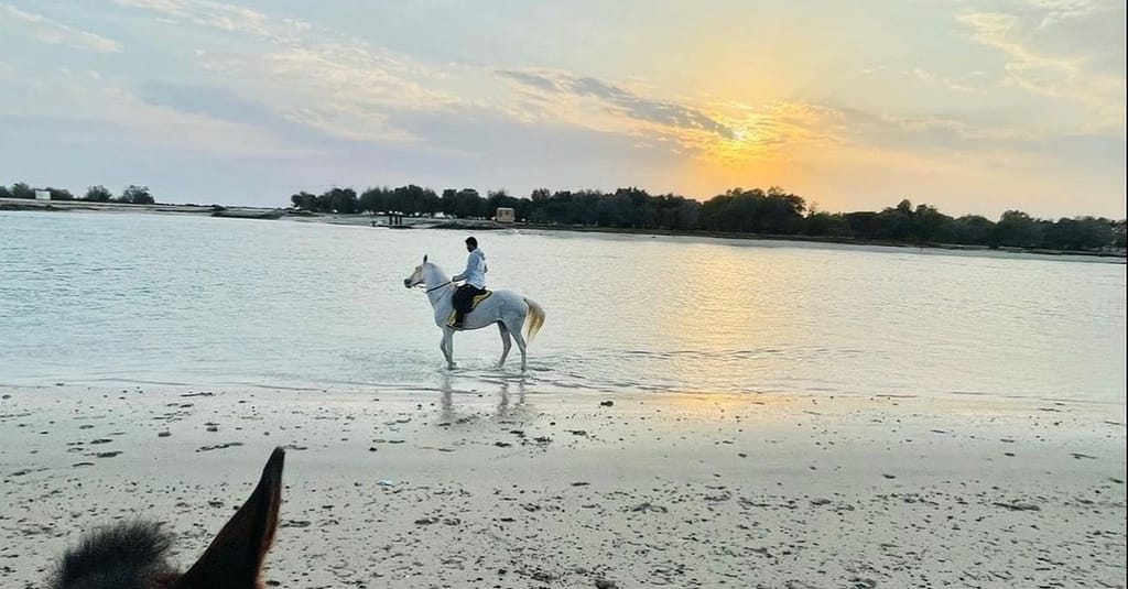 Horseback Riding By The Beach Dubai activities Shop Online at Dubai Trades 2