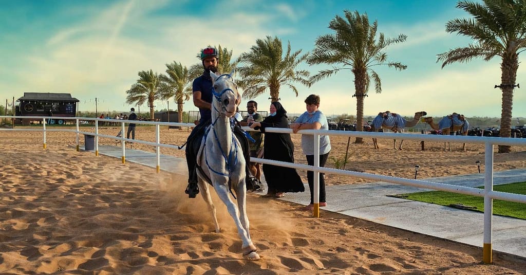 Hot Air Balloon Flight Experience At 4,000 Feet For Adult Or Child Sharjah & N. Emirates activities Shop Online at Dubai Trades 6