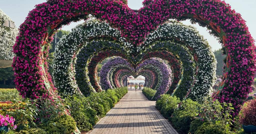 Img, Miracle Garden, Global Village, Ski Snow Classic, Or Plus Ticket Dubai package Shop Online at Dubai Trades 5