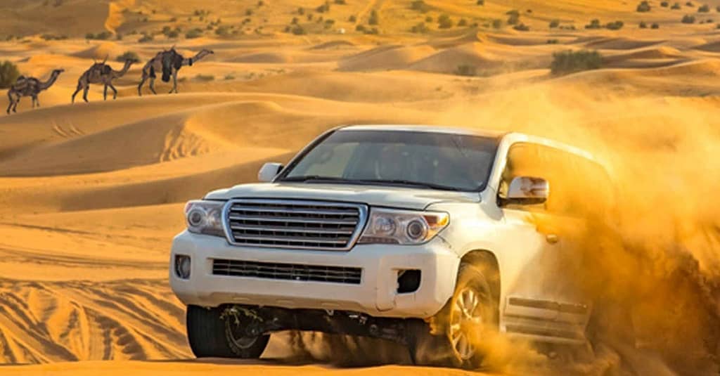 Img Tickets, Vip Desert Safari With Transport Options At Rs Tourism Dubai activities Shop Online at Dubai Trades 16