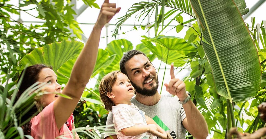 Img Worlds Of Adventure With Dubai Frame, Miracle Garden, And More National Deal package Shop Online at Dubai Trades 12