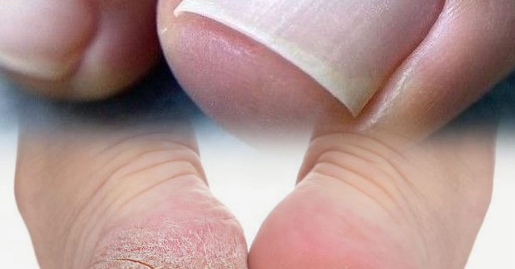 Mani-Pedi Session For A Fresh Look! Dubai other Shop Online at Dubai Trades 4