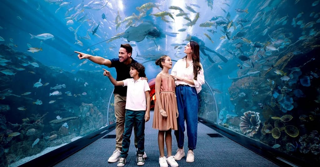 Marine Magic Awaits: Dubai Aquarium & Penguin Cove For 1, 2, Or 4! Dubai activities Shop Online at Dubai Trades 11