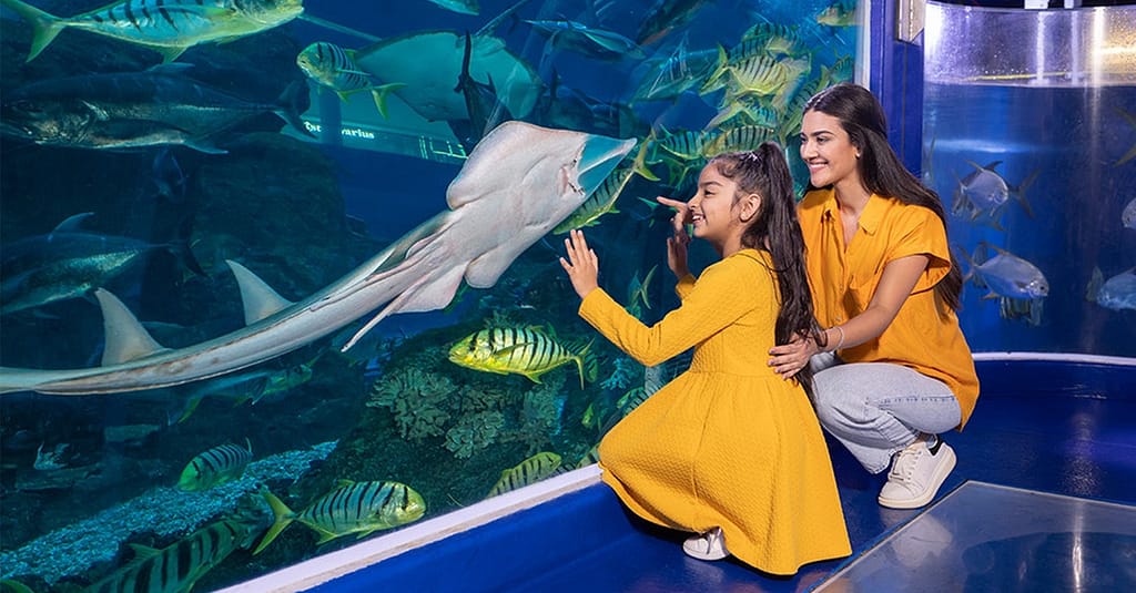 Marine Magic Awaits: Dubai Aquarium & Penguin Cove For 1, 2, Or 4! Dubai activities Shop Online at Dubai Trades 10