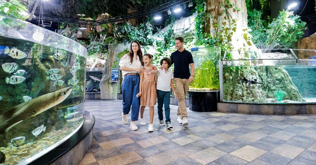 Marine Magic Awaits: Dubai Aquarium & Penguin Cove For 1, 2, Or 4! Dubai activities Shop Online at Dubai Trades 2