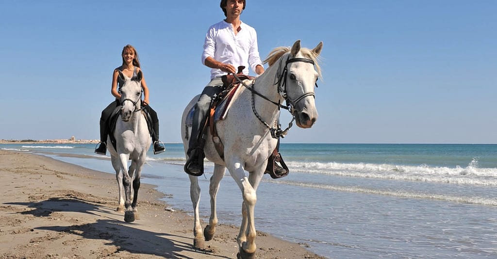 One Hour Beach Horse Riding Experiences At Al Sultan Equestrian Club Abu Dhabi activities Shop Online at Dubai Trades 2