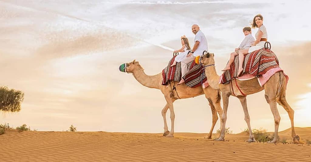 Overnight Central/Home Or Hotel Pick Up Desert Safari Dinner And More Abu Dhabi package Shop Online at Dubai Trades 4