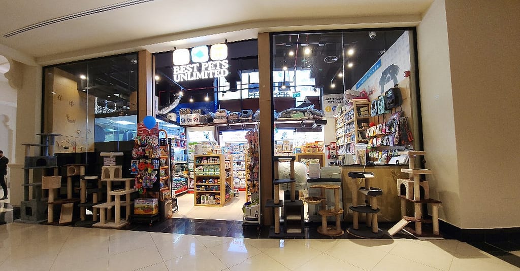 Pamper Your Furry Friends With Basic Or Full Grooming For Dogs & Cats Dubai other Shop Online at Dubai Trades 6