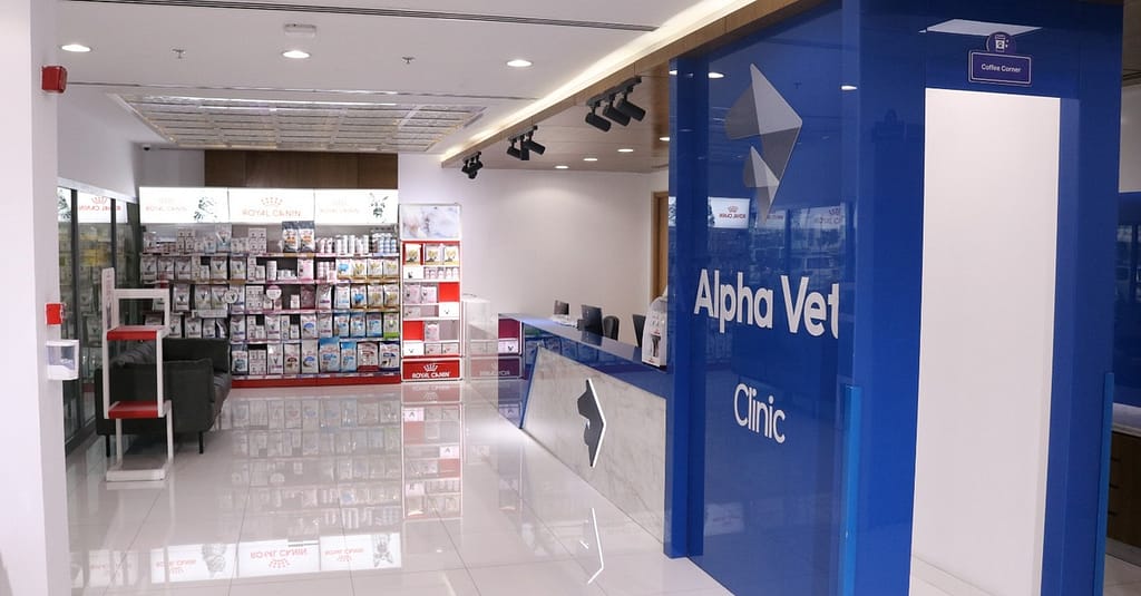 Pamper Your Furry Friends With Top-Notch Grooming For Dogs And Cats! Dubai other Shop Online at Dubai Trades 3