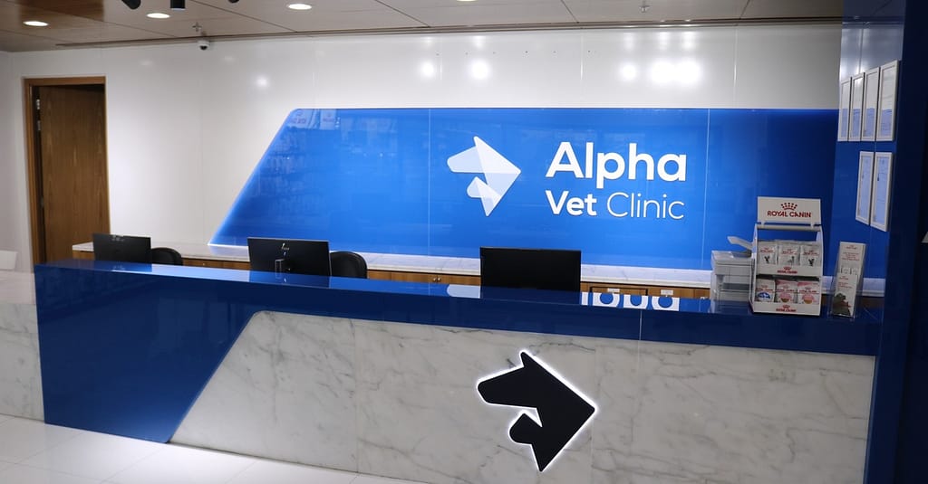 Pamper Your Furry Friends With Top-Notch Grooming For Dogs And Cats! Dubai other Shop Online at Dubai Trades 9
