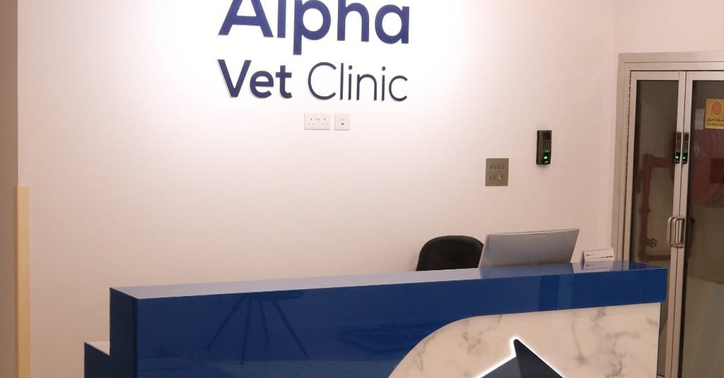 Pamper Your Furry Friends With Top-Notch Grooming For Dogs And Cats! Dubai other Shop Online at Dubai Trades 10