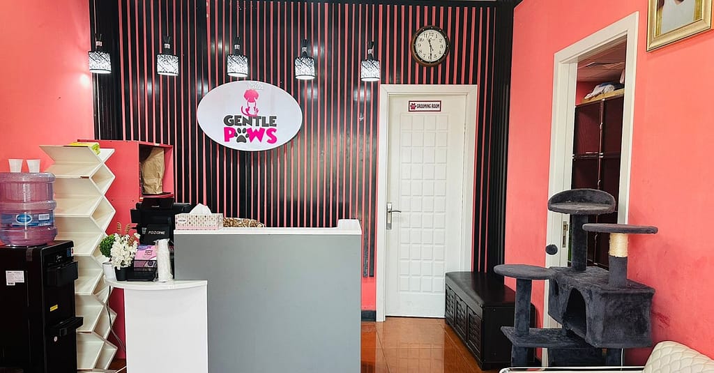 Pamper Your Pets: Basic And Full Grooming Dubai other Shop Online at Dubai Trades 3