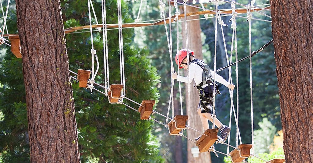 Personalized Obstacle Course Skills Training For Kids & Adults Dubai other Shop Online at Dubai Trades 2