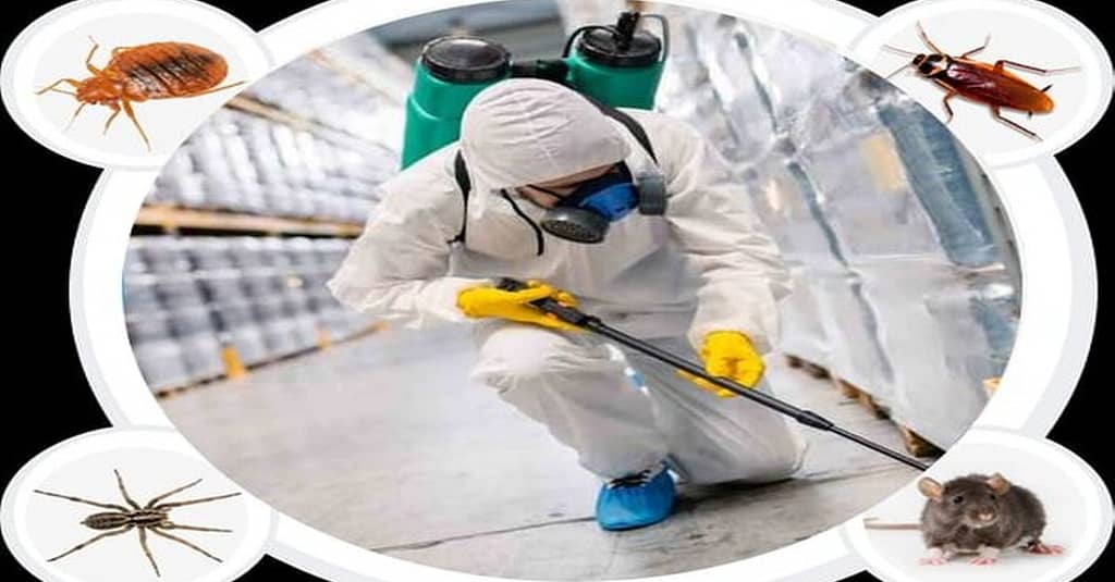 Pest Control Service – General Dubai other Shop Online at Dubai Trades 2