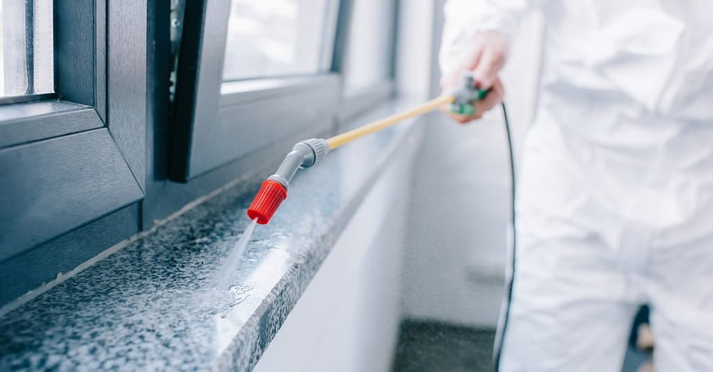 Pest Control Service – Rodent Dubai other Shop Online at Dubai Trades 2