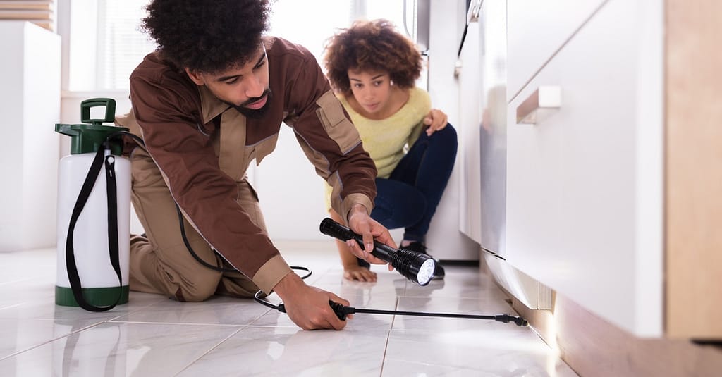 Pest Control Treatment For Kitchen, Bedroom, Living Room, Studio Flat Dubai other Shop Online at Dubai Trades 2