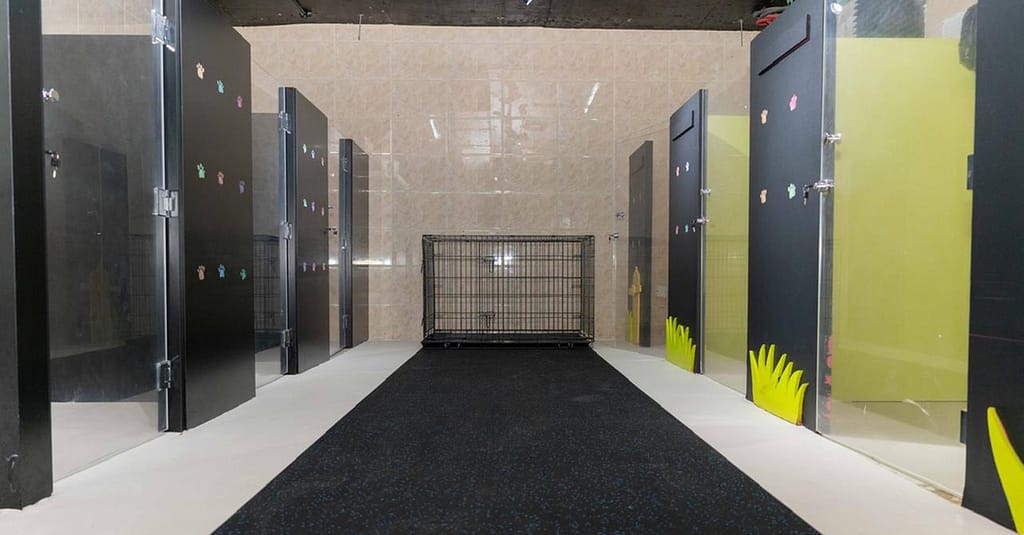 Pet Day Care At Six Pawz Pet Grooming Dubai other Shop Online at Dubai Trades 5