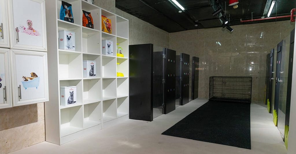 Pet Day Care At Six Pawz Pet Grooming Dubai other Shop Online at Dubai Trades 6