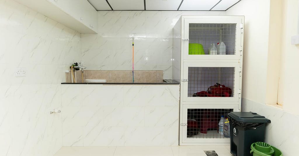 Pet Day Care At Six Pawz Pet Grooming Dubai other Shop Online at Dubai Trades 7