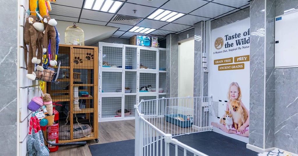 Pet Day Care At Six Pawz Pet Grooming Dubai other Shop Online at Dubai Trades 8