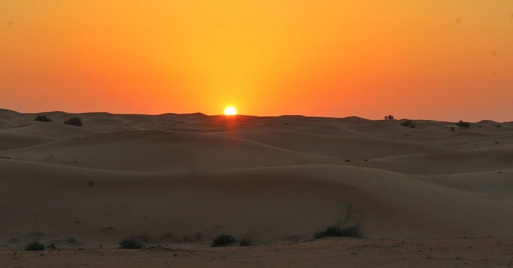 Quad Biking And Dune Bashing Sharjah & N. Emirates package Shop Online at Dubai Trades 4