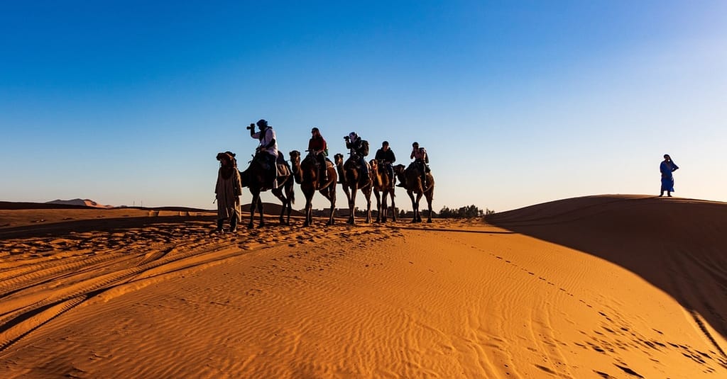 Quad Biking And Dune Bashing Sharjah & N. Emirates package Shop Online at Dubai Trades 5