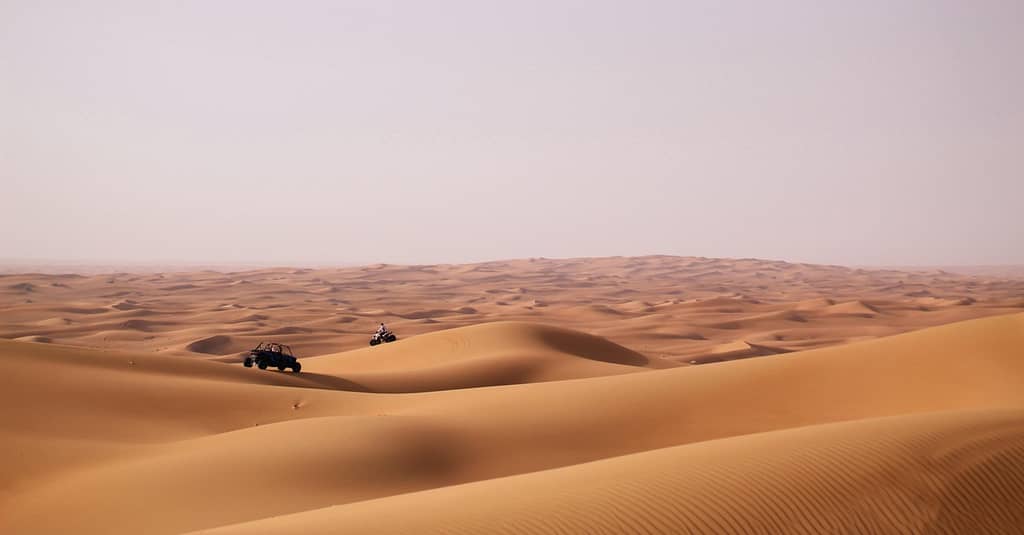 Red Dunes Desert Safari With Live Entertainment Abu Dhabi package Shop Online at Dubai Trades 3