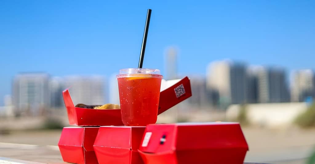 Satisfy Your Cravings With Up To Aed 240 To Spend On Burgers National Deal restaurants Shop Online at Dubai Trades 3