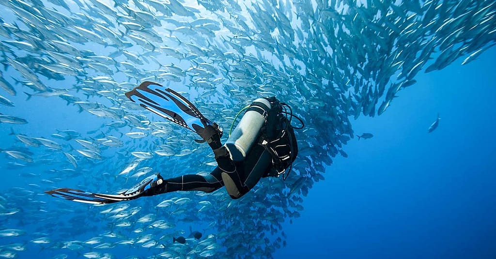 Scuba Diving Courses At Divecampus Dubai activities Shop Online at Dubai Trades 3