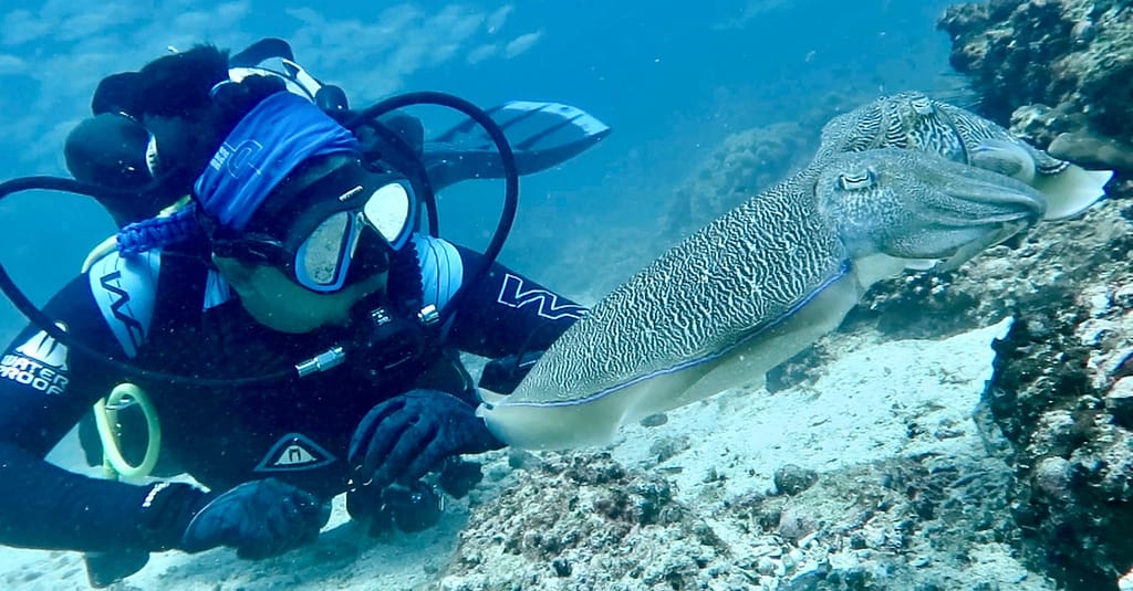 Scuba Diving Courses At Divecampus Dubai activities Shop Online at Dubai Trades 7