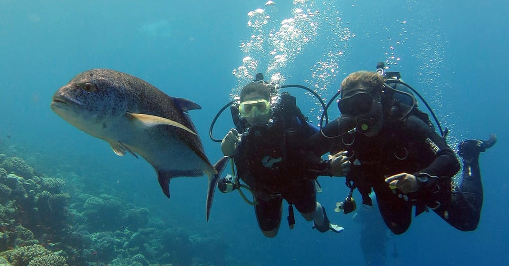 Scuba Diving Experience Dubai activities Shop Online at Dubai Trades 2