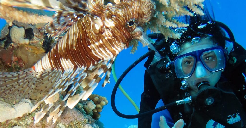 Scuba Diving Experience Dubai activities Shop Online at Dubai Trades 9