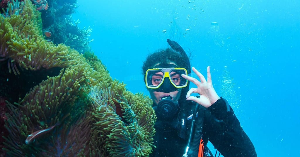 Scuba Or Fujairah Diving Or Snorkeling At Goblin Diving Center Dubai activities Shop Online at Dubai Trades 6