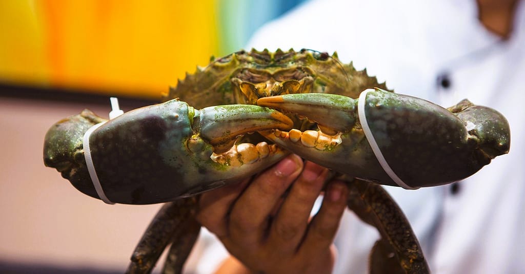 Seafood With Rice, And Ice Tea Dubai restaurants Shop Online at Dubai Trades 3