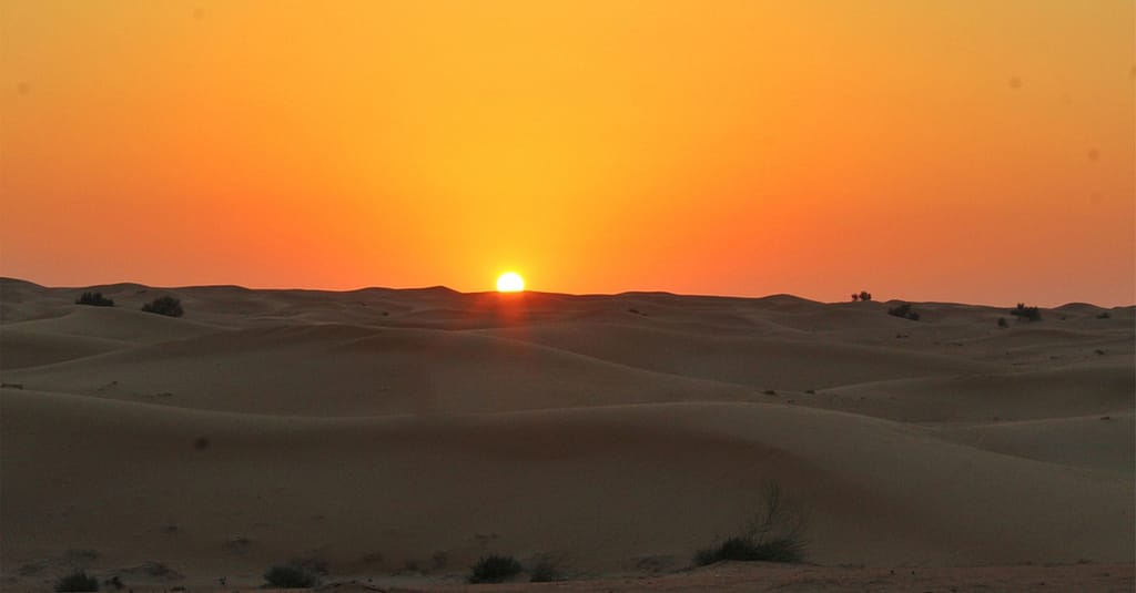 Self-Drive Evening Desert Safari Sharjah & N. Emirates package Shop Online at Dubai Trades 4