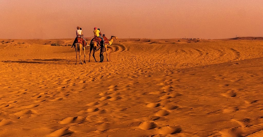 Sunset Desert Safari Dubai package Shop Online at Dubai Trades 2