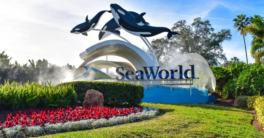 Tickets To Sea World, Ferrari World, Yas Waterworld, Or Warner Bros Dubai package Shop Online at Dubai Trades 3