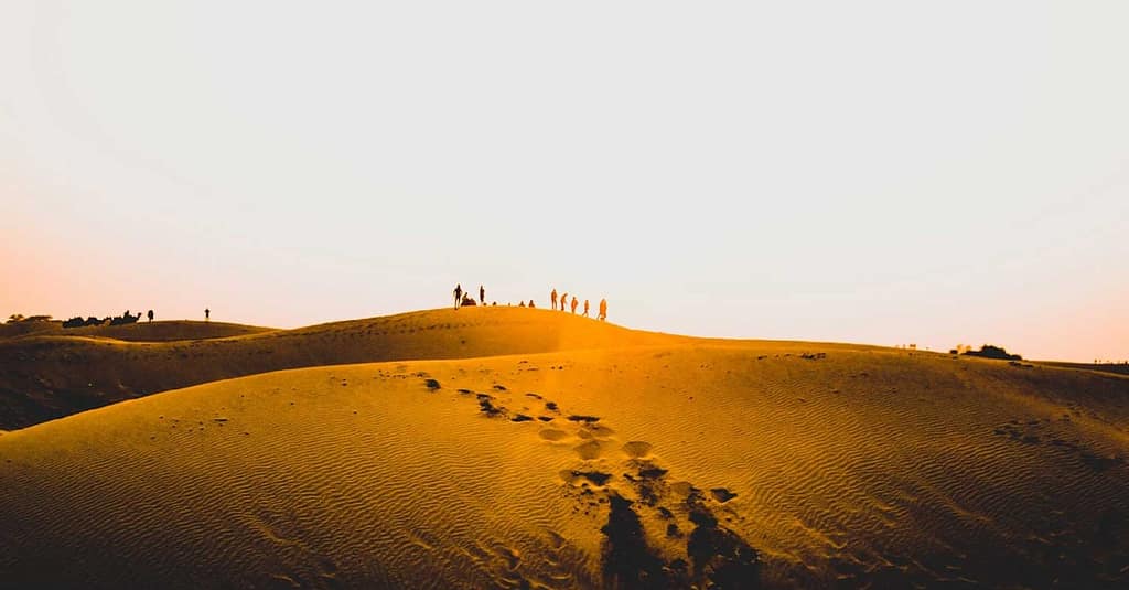 Tour – Guided Dubai package Shop Online at Dubai Trades 11