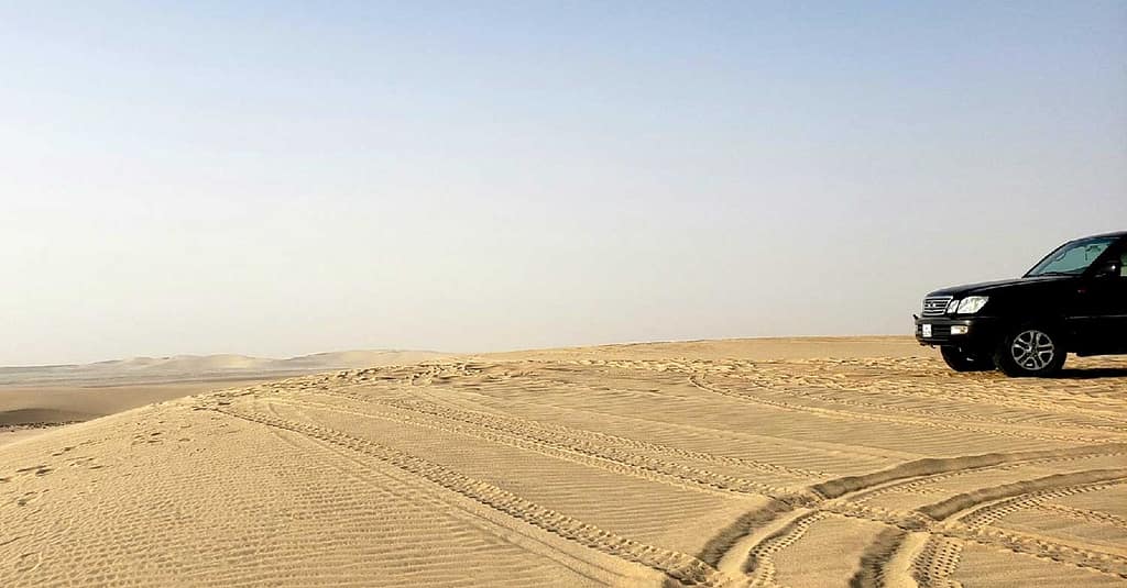 Tour – Guided Dubai package Shop Online at Dubai Trades 12