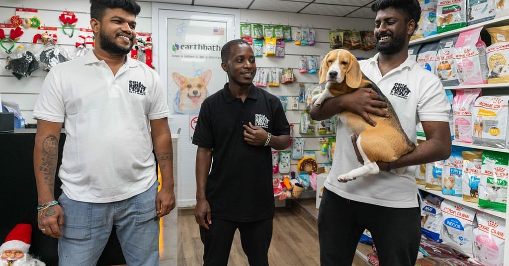 Treat Your Pet To The Ultimate Vip Experience Dubai other Shop Online at Dubai Trades 4
