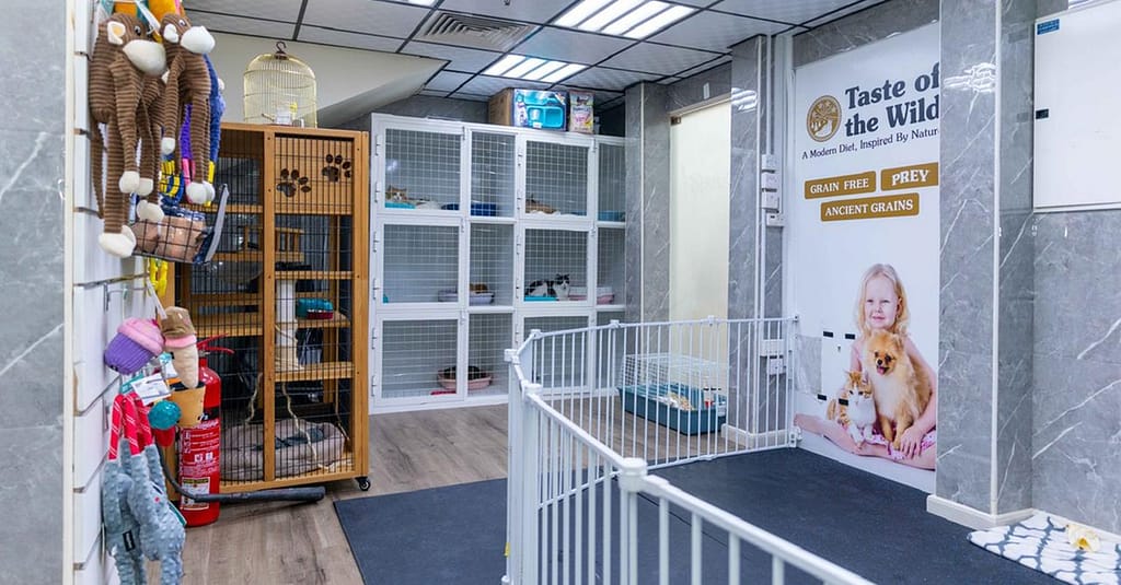 Treat Your Pet To The Ultimate Vip Experience Dubai other Shop Online at Dubai Trades 6