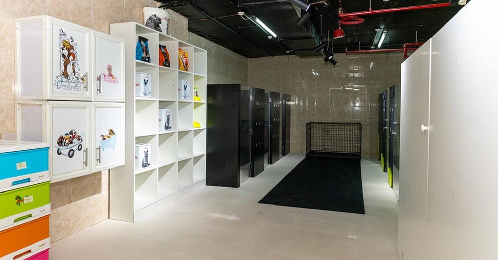 Treat Your Pet To The Ultimate Vip Experience Dubai other Shop Online at Dubai Trades 7