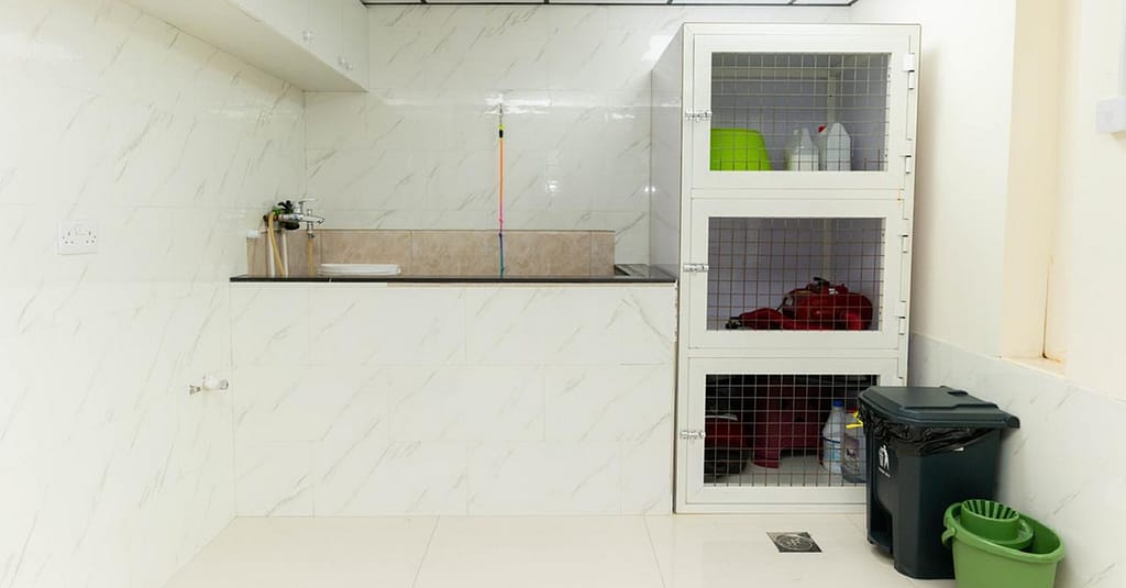 Treat Your Pet To The Ultimate Vip Experience Dubai other Shop Online at Dubai Trades 9