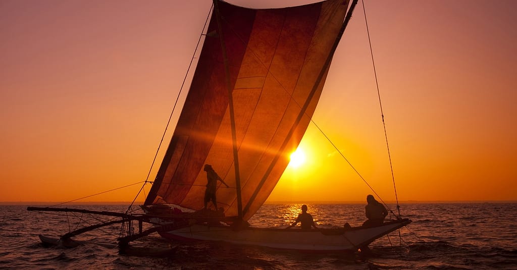 Unforgettable Dinner Experience: 5 Star Catamaran Marina Dinner Cruise Dubai package Shop Online at Dubai Trades 2