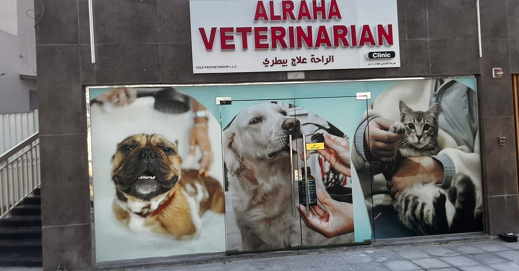 Dog/Cat Medical Check Up At Al Raha Veterinary Clinic Abu Dhabi other Shop Online at Dubai Trades 4