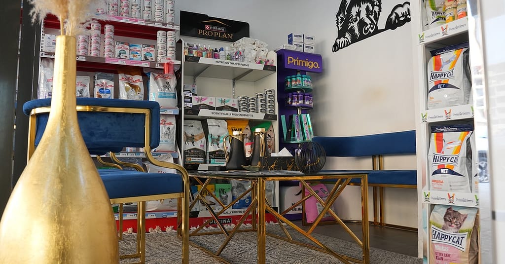 Up To 42% Off On At Cloud Pet Salon And Boarding Sharjah & N. Emirates other Shop Online at Dubai Trades 3